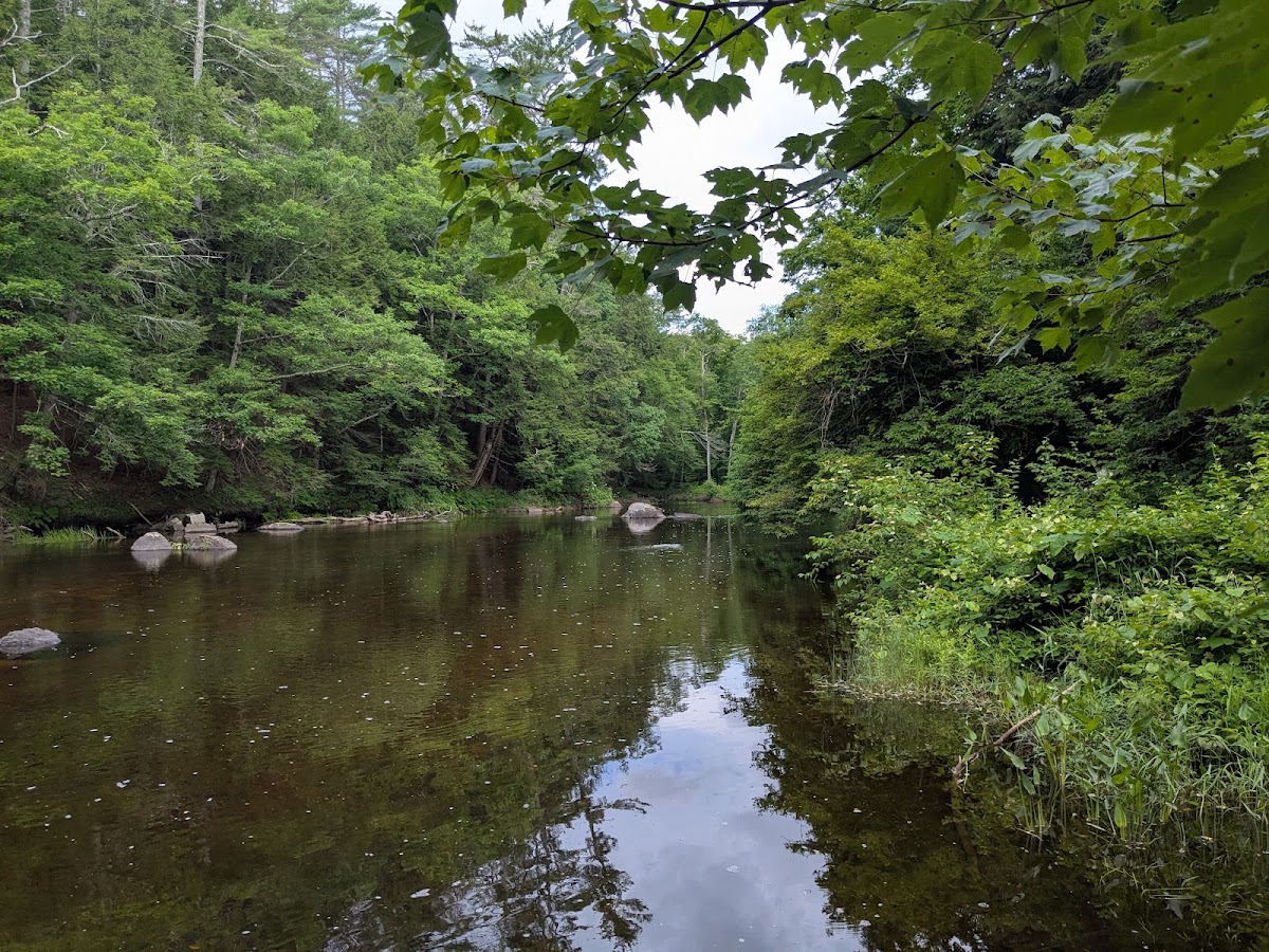 Warner River
