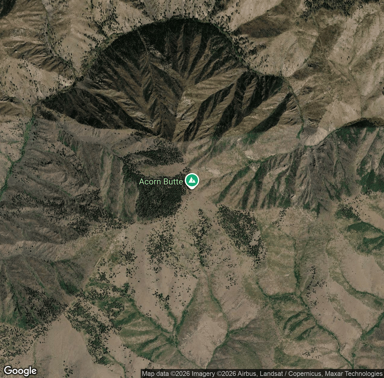 Acorn Butte