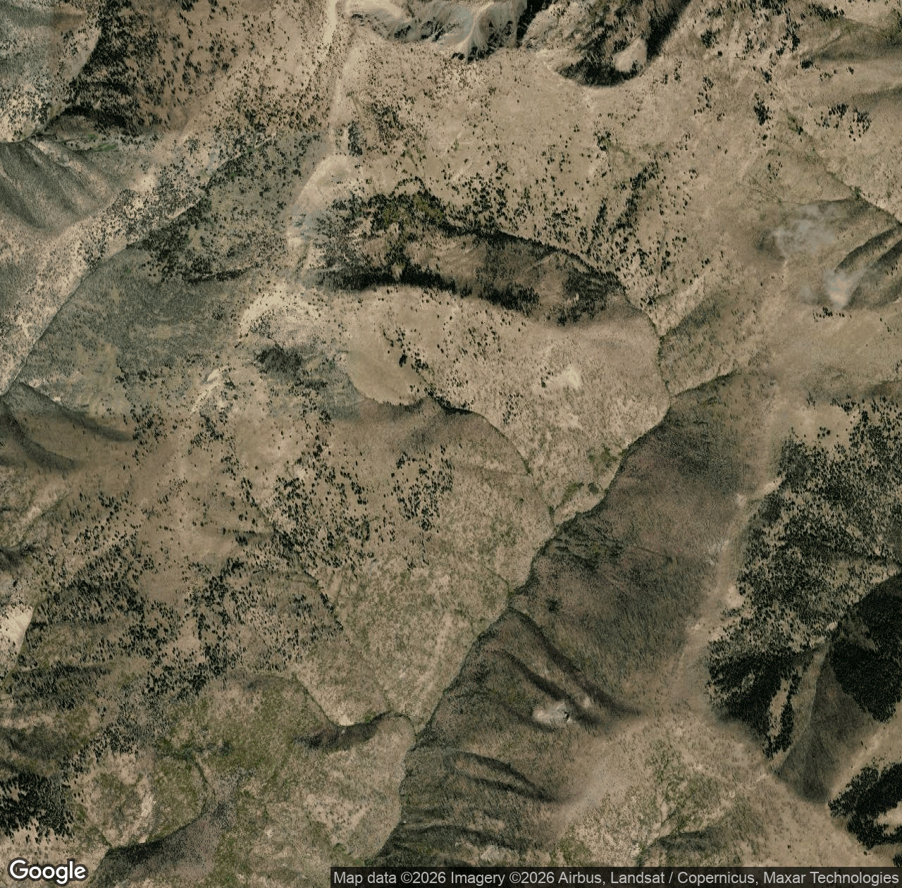Big Baldy Ridge Trail