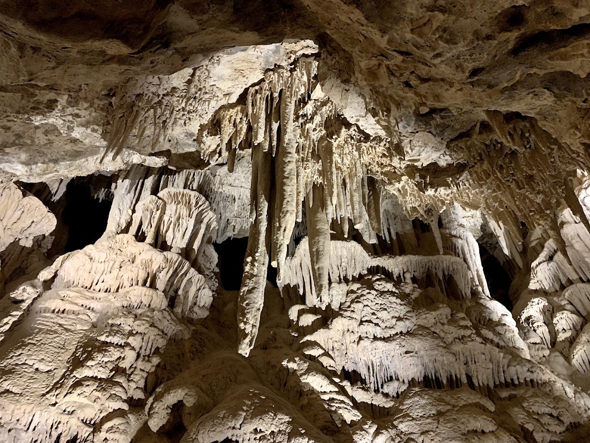 Mitchell Caverns State Park