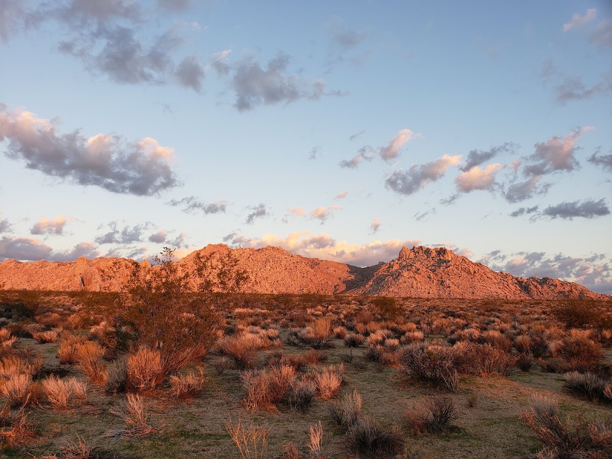 Silver Peak