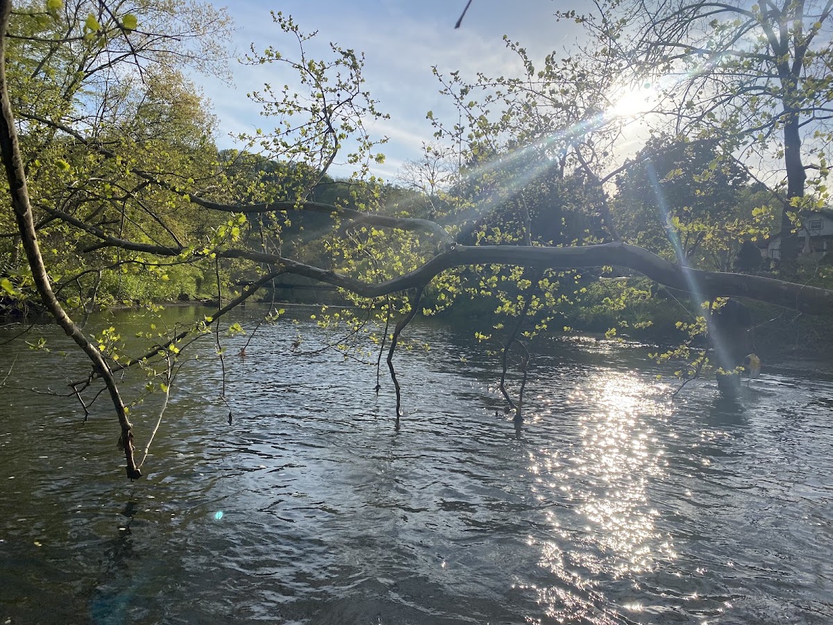 Sewickley Creek