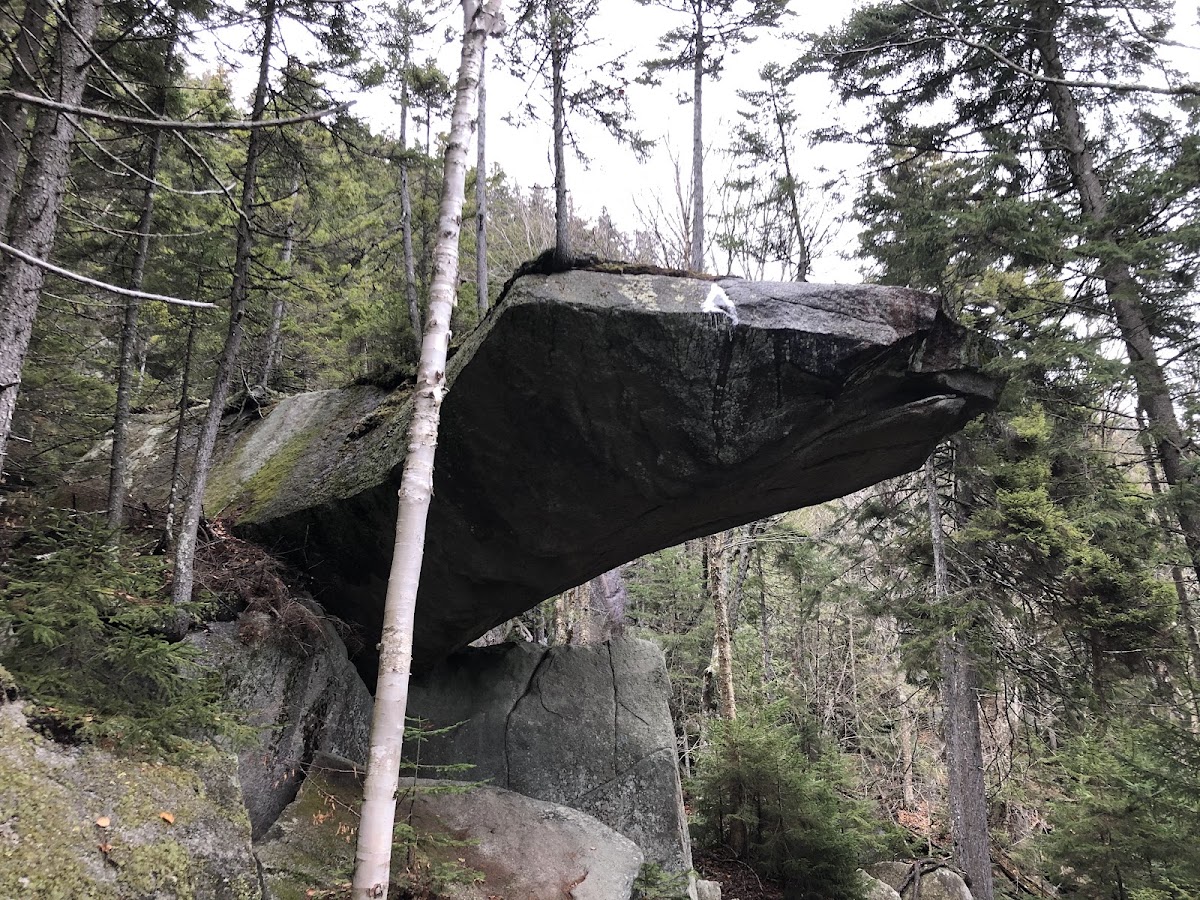 Appalachian National Scenic Trail