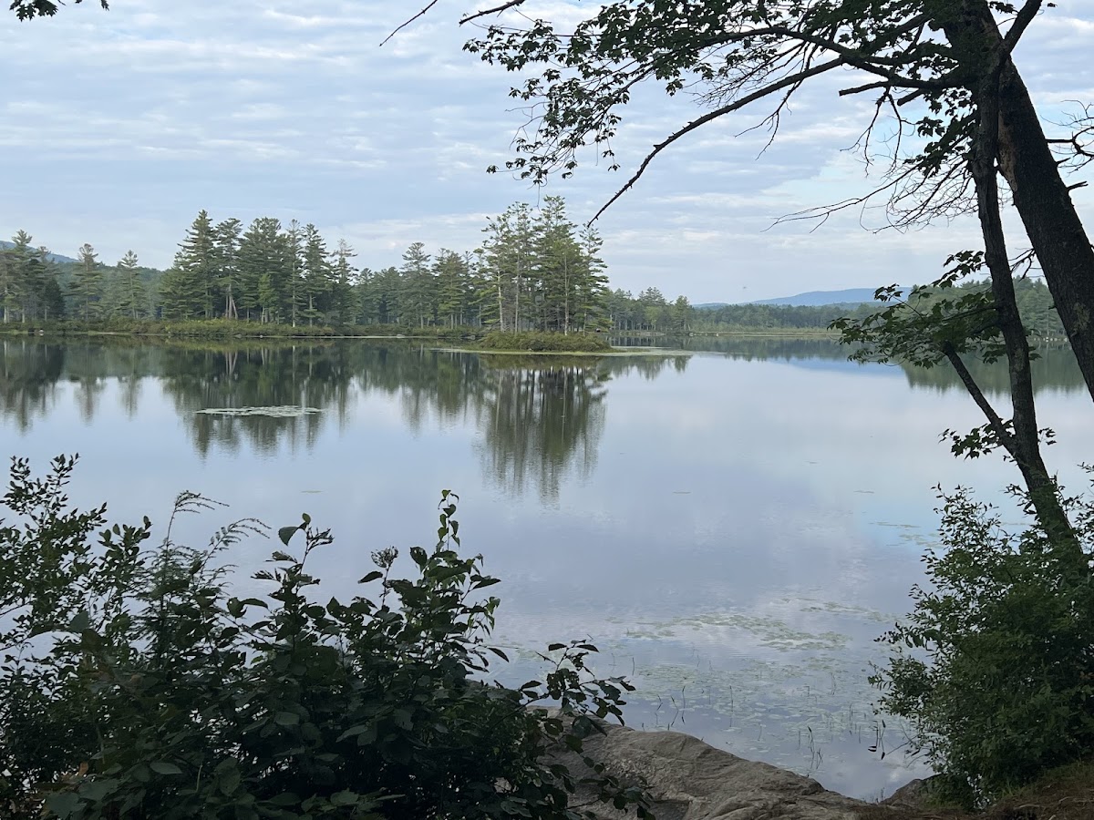 Red Hill Pond