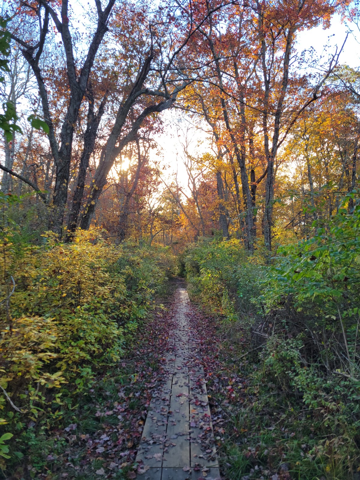 Canonchet Farm Trail