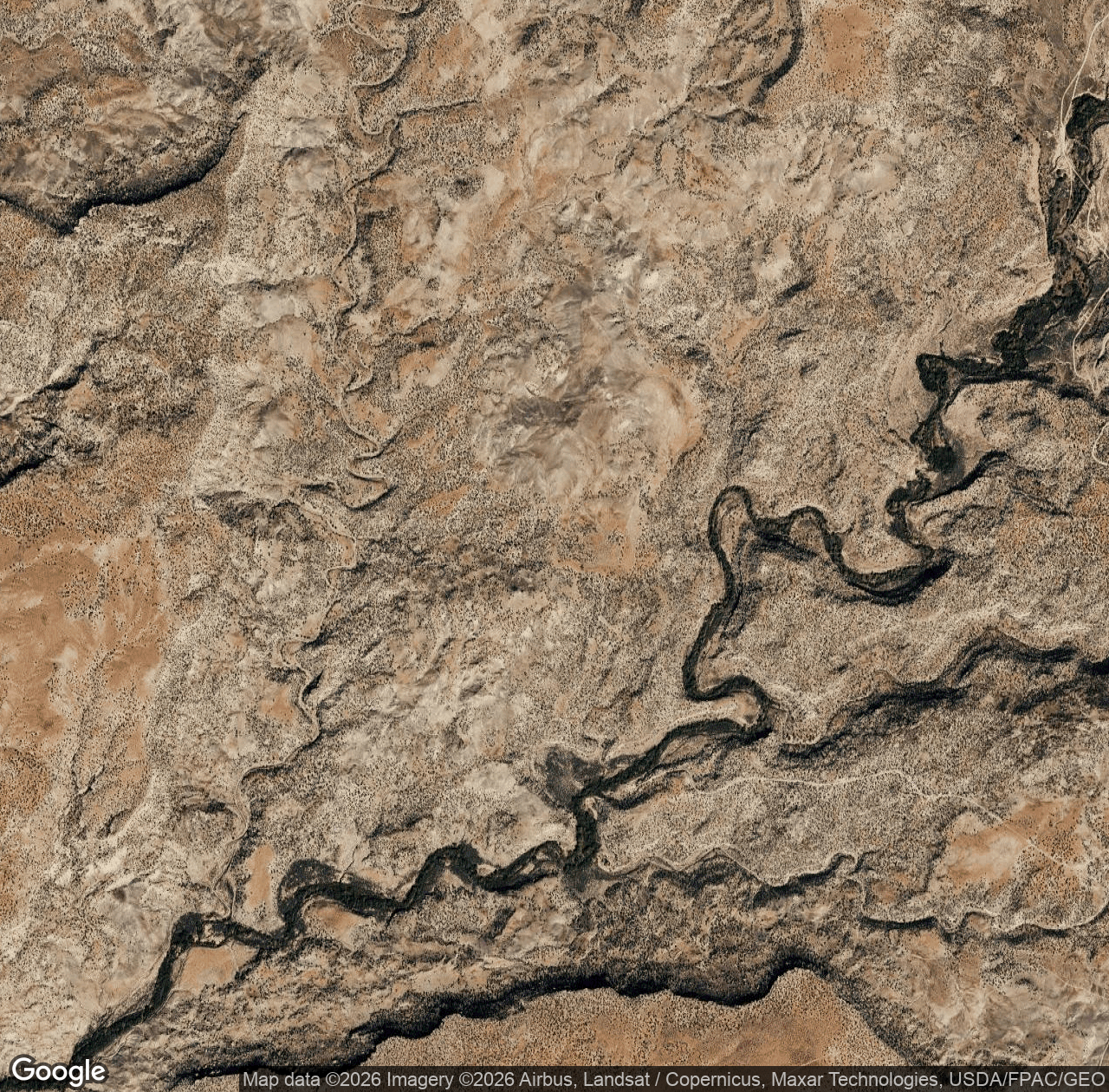 Yellow Jacket Canyon