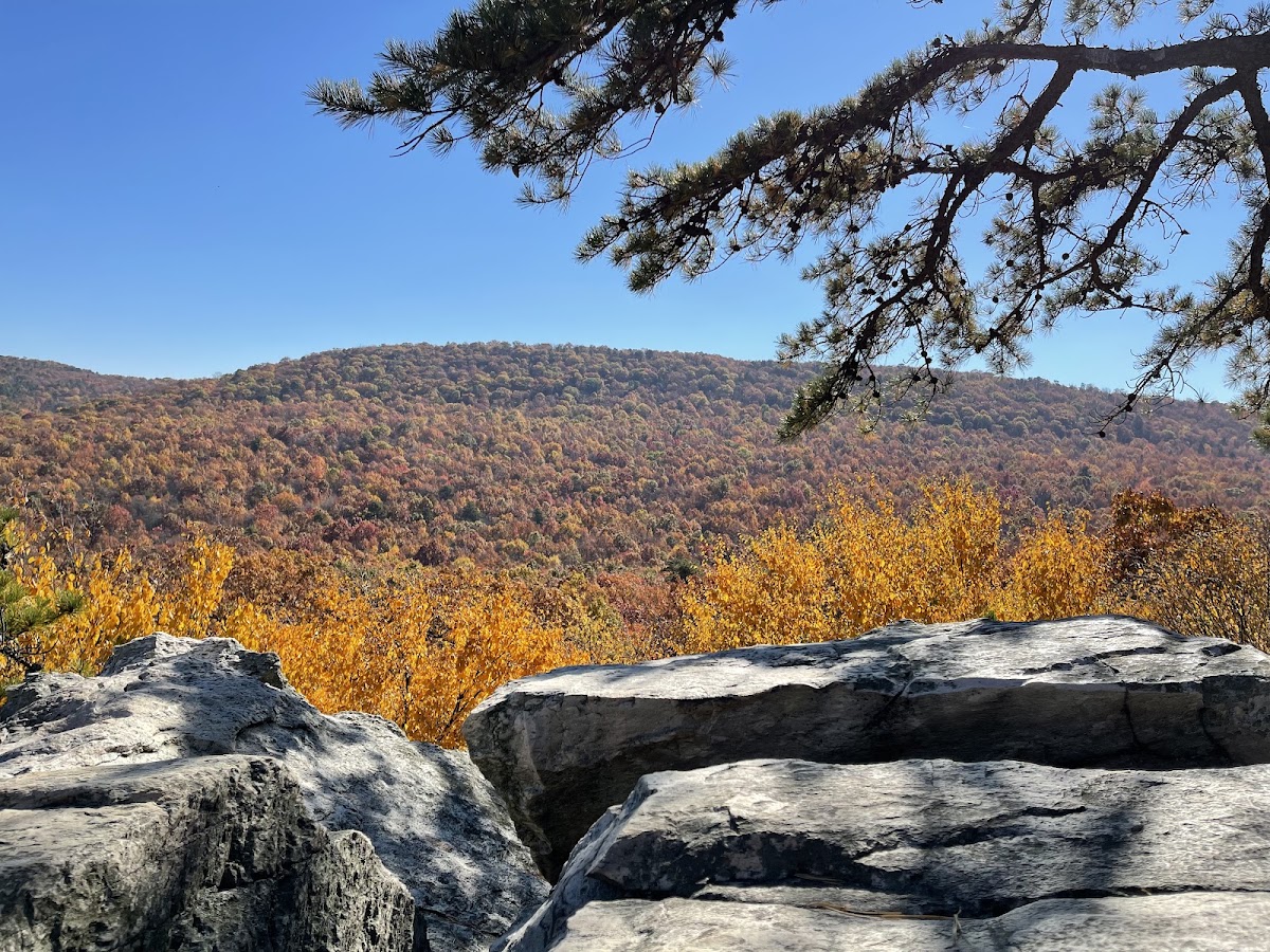 White Rocks Trail