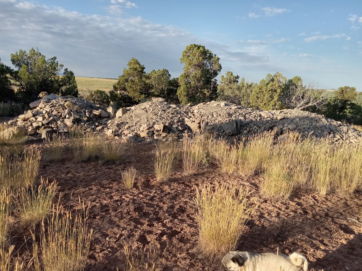 Dove Creek