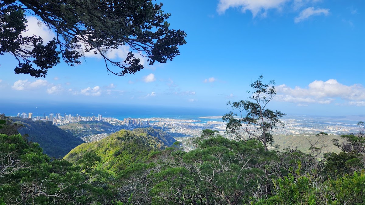 Nu'uanu Trail