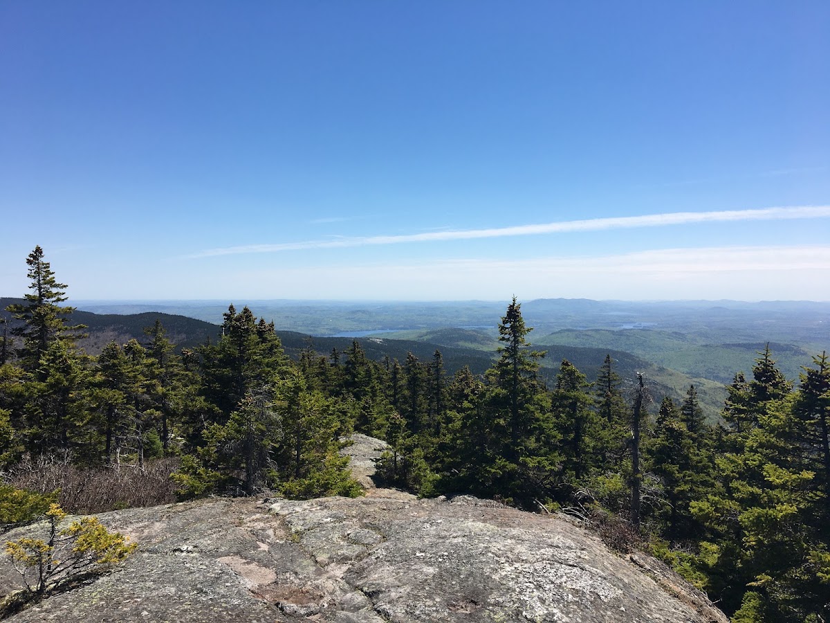 Royce Trail