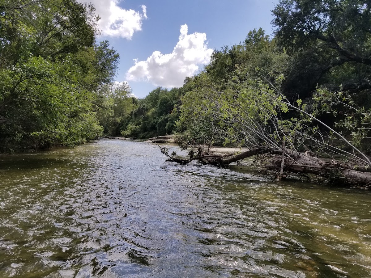 Brushy Creek