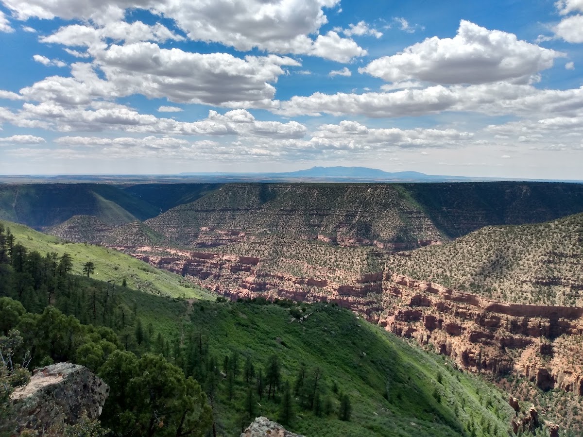 Dolores River - Dolores Canyon