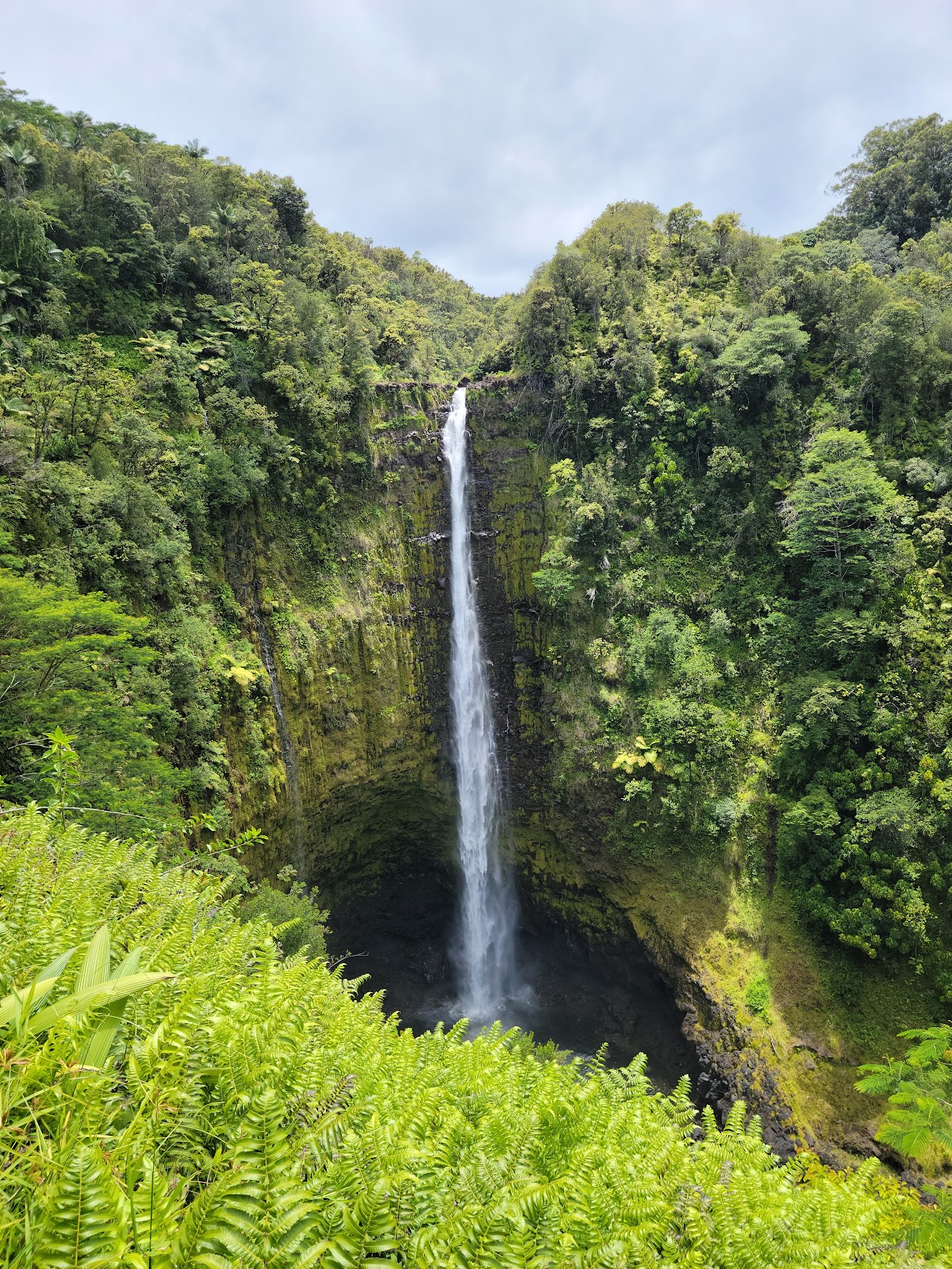 Ê»Akaka Falls State Park