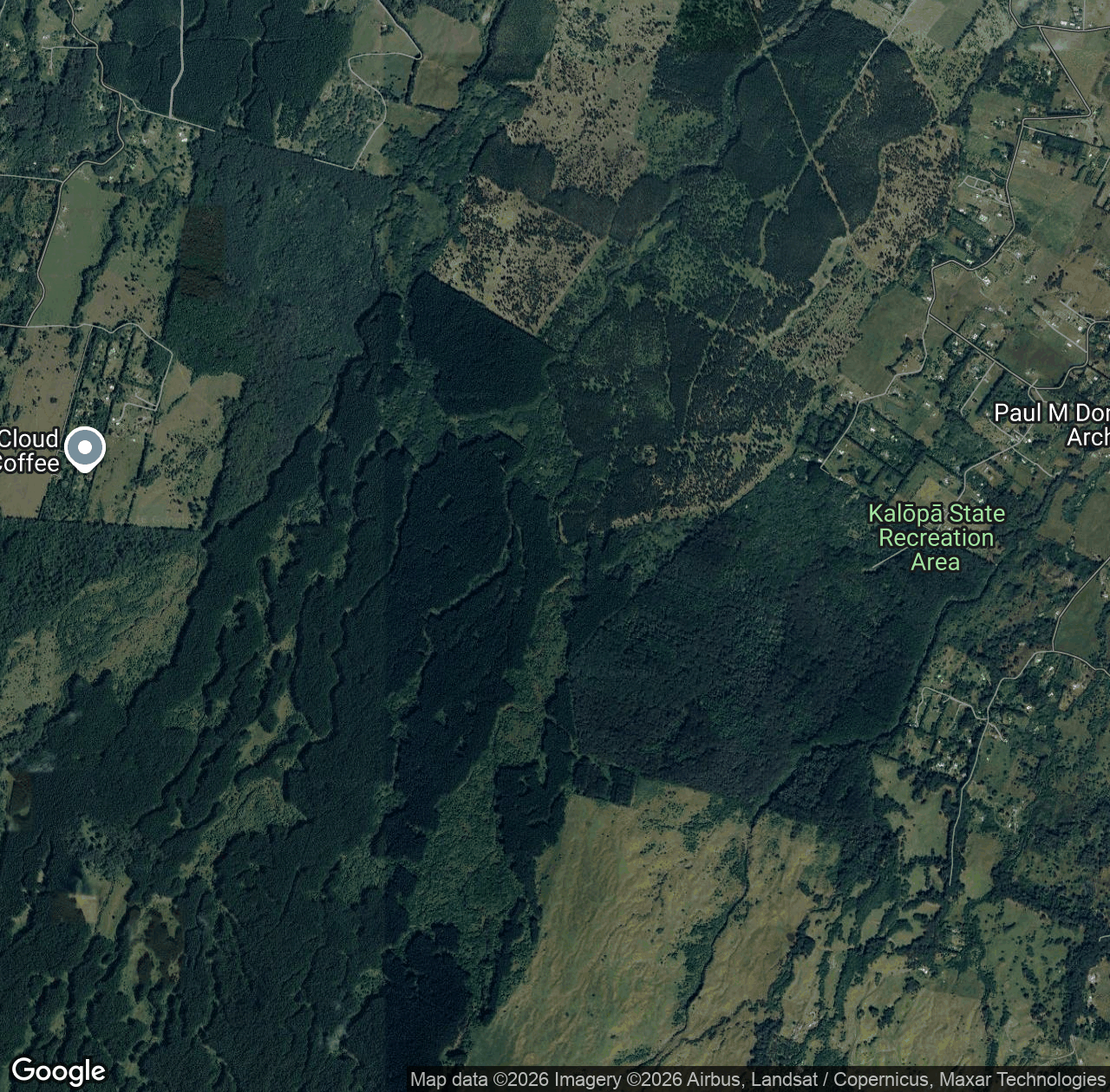HÄmÄkua Forest Reserve