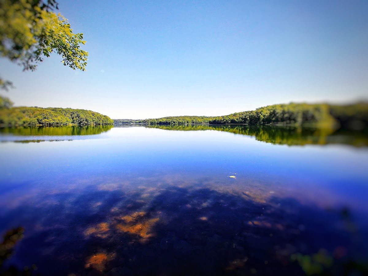 Piney Run Reservoir