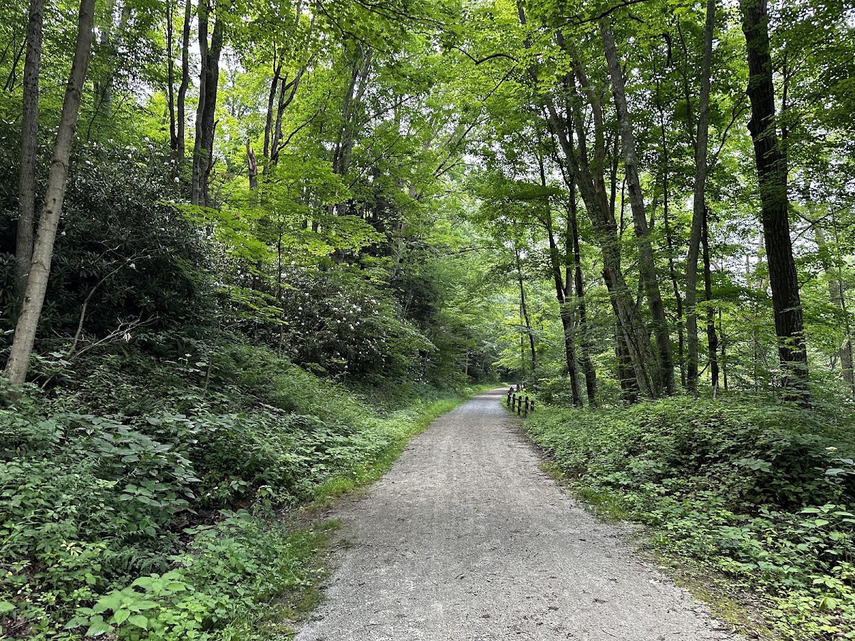Indian Creek