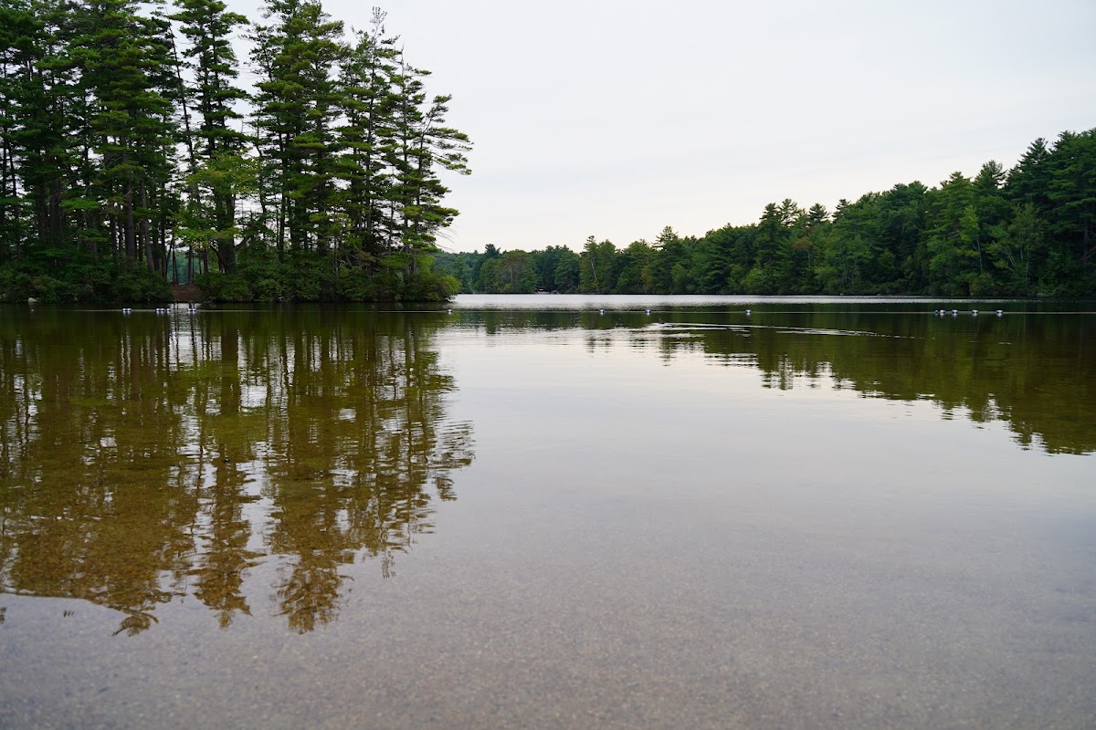 Pawtuckaway Lake