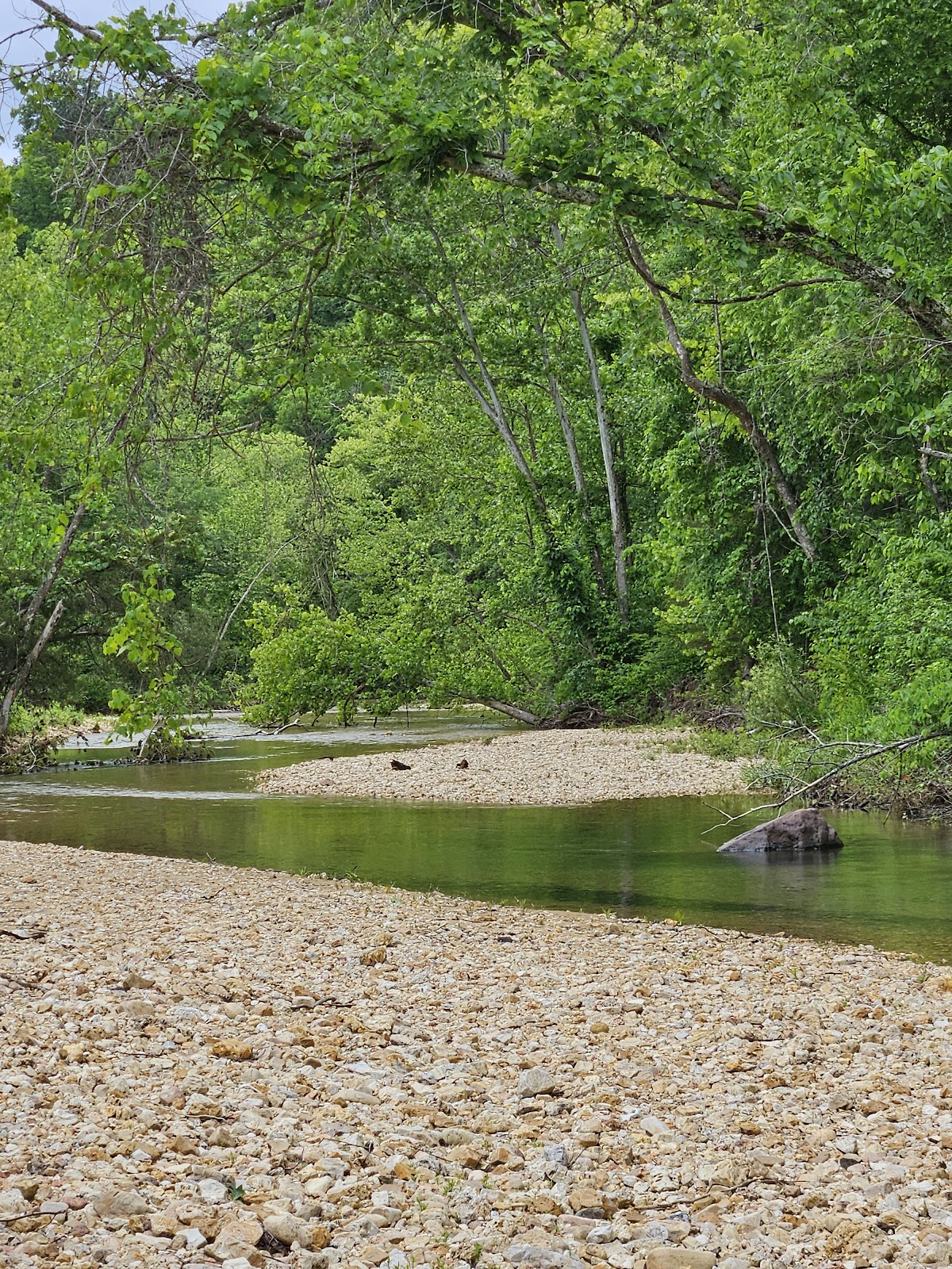 Ozark Trail - Blair Creek Section