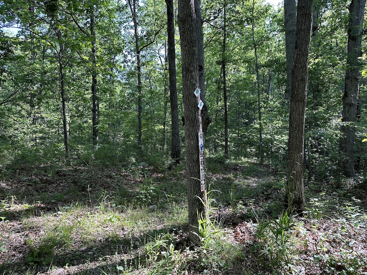 Ozark Trail - Eleven Point Low Route