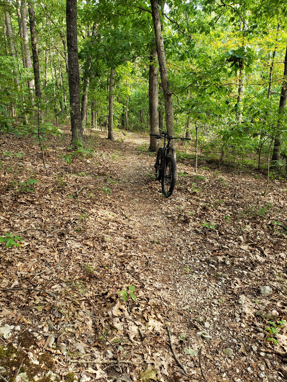 Ozark Trail - Middle Fork Section