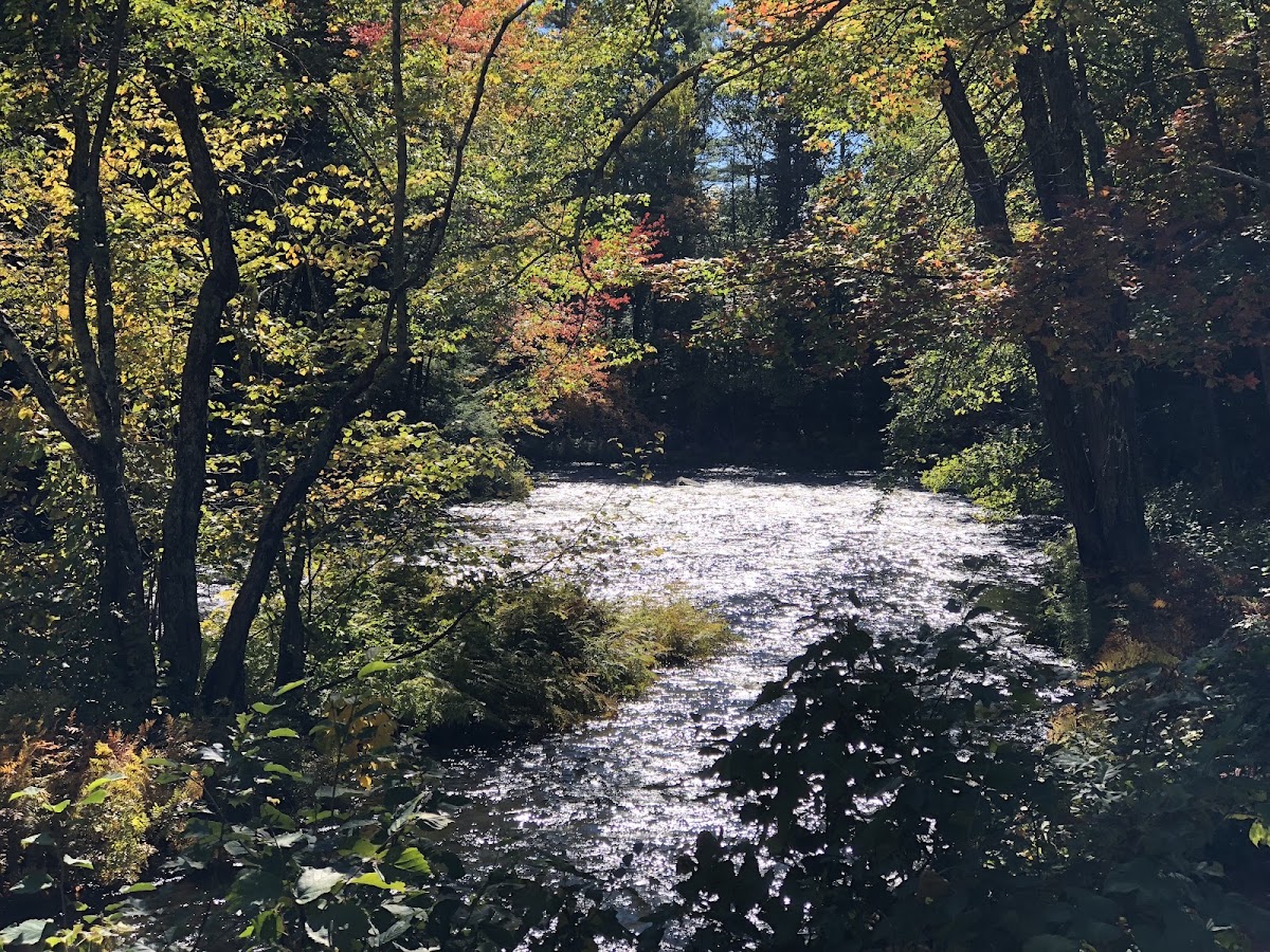 Blackwater River