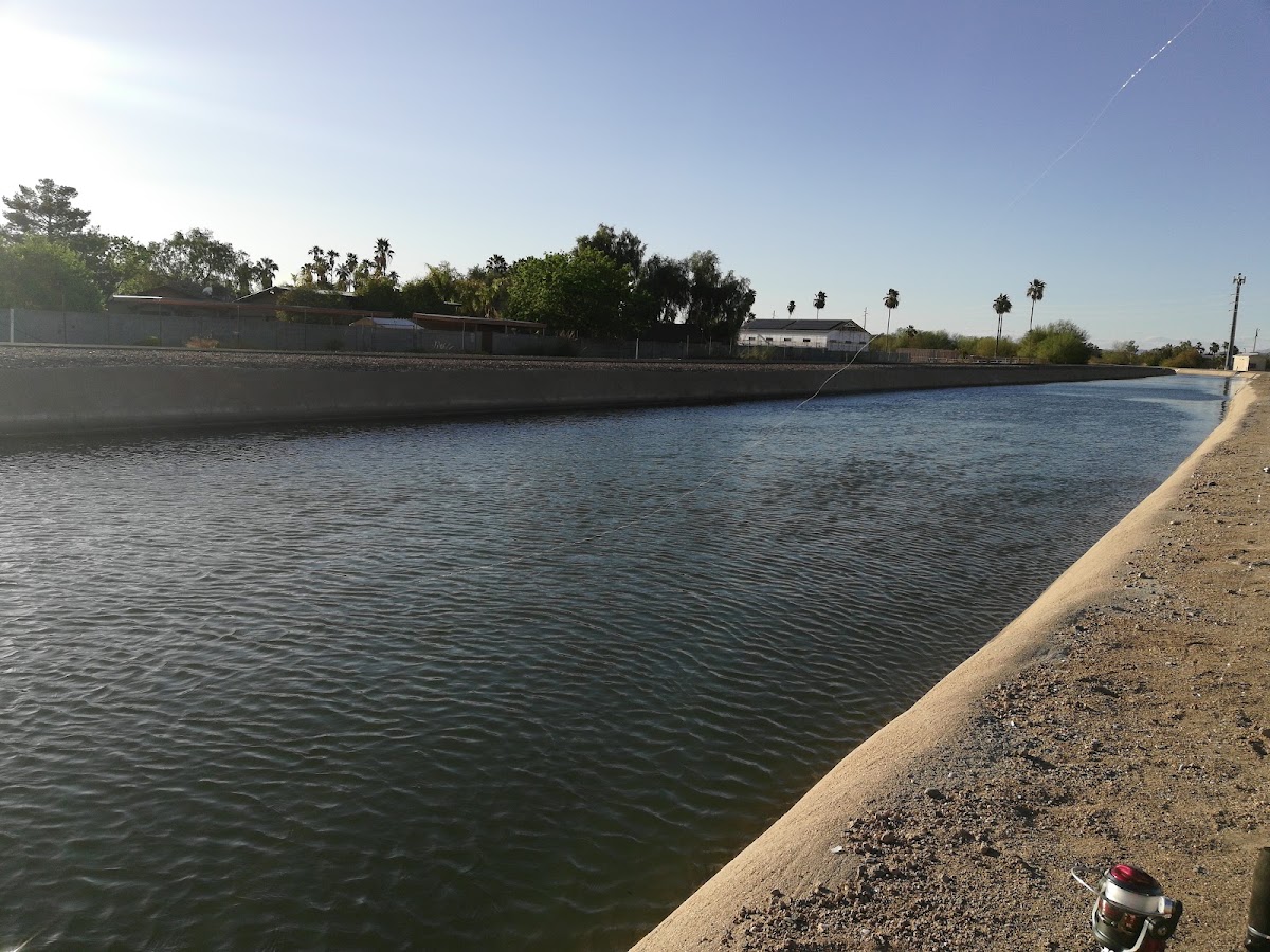 Arizona Canal