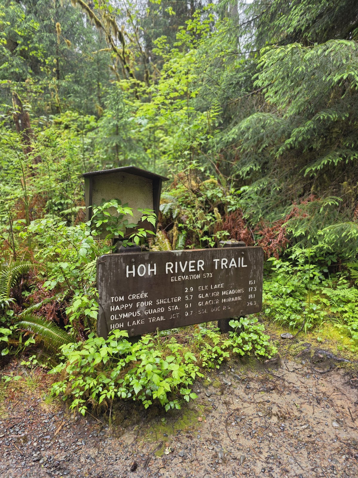 Hoh River Trail