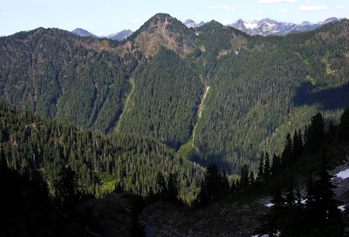 Mount Olson Way Trail