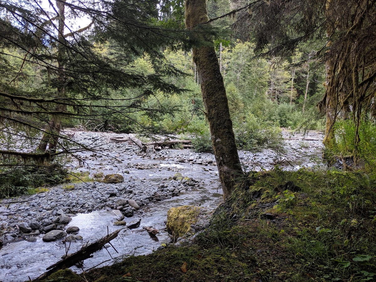 Six Ridge Primitive Trail
