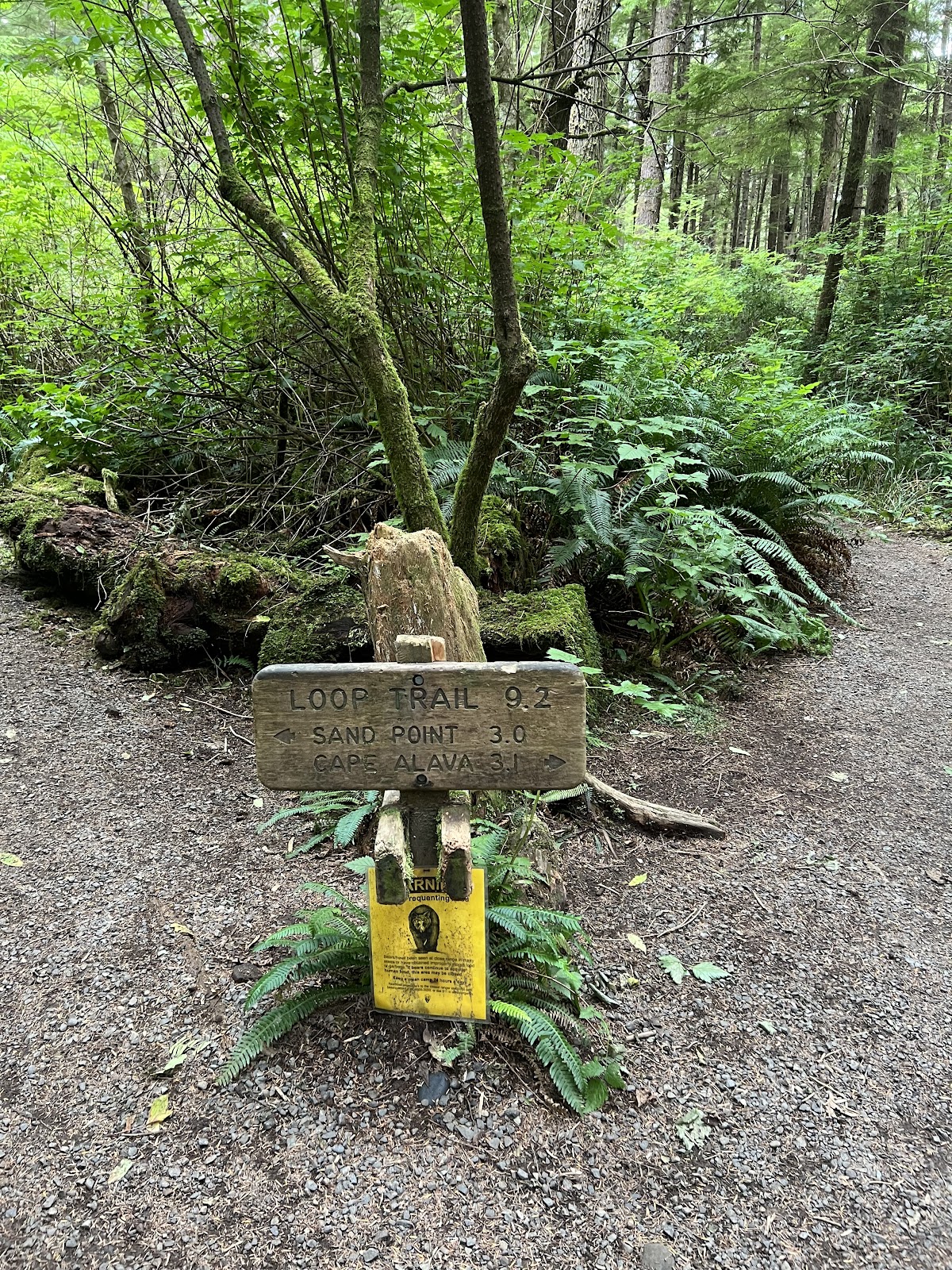 Sand Point Trail