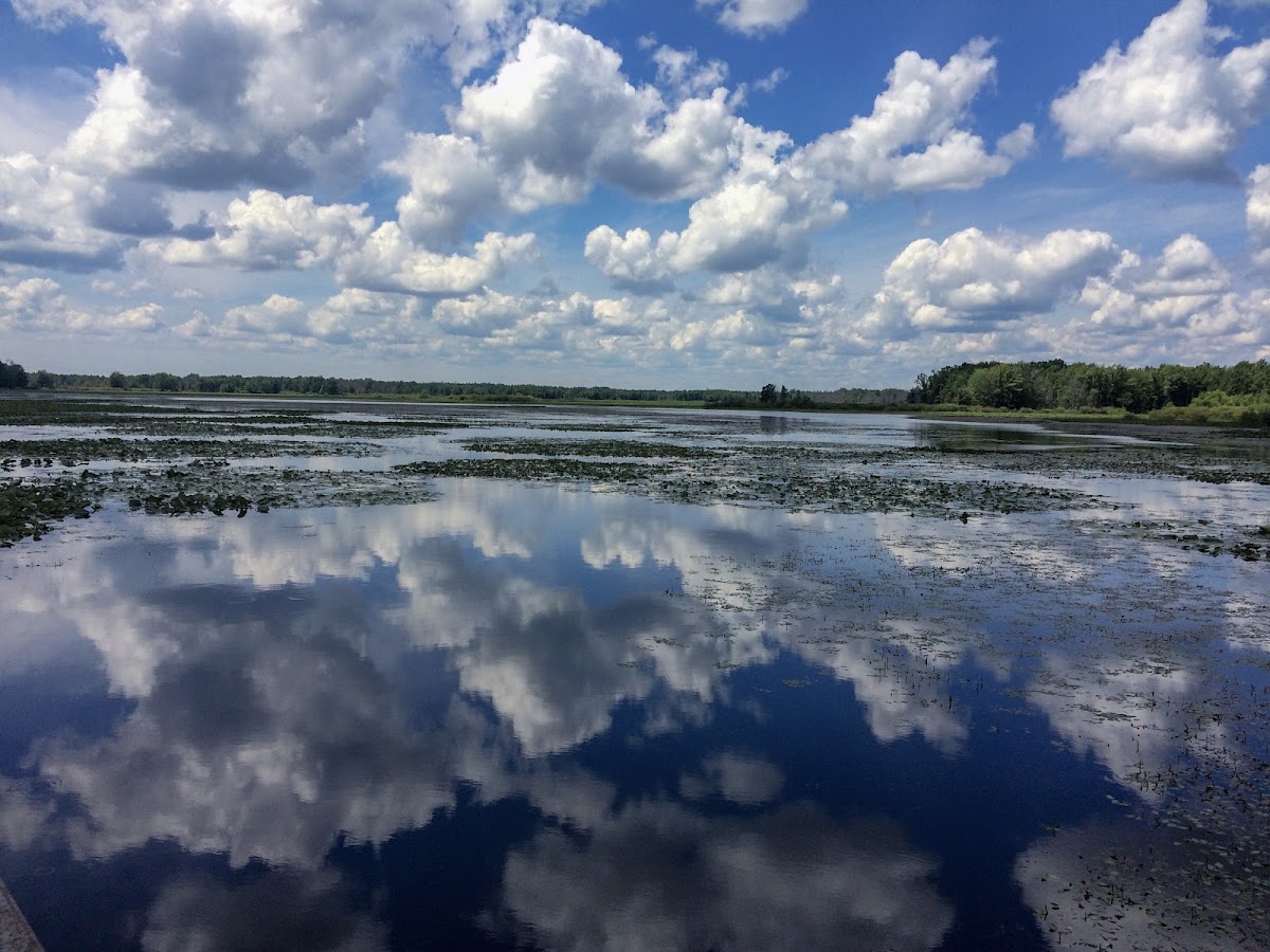 Kawkawlin Creek Flooding