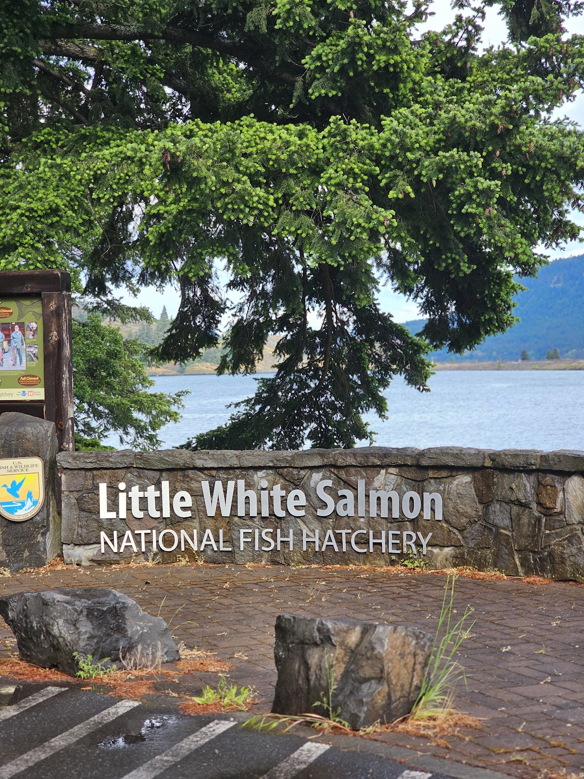 Little White Salmon River