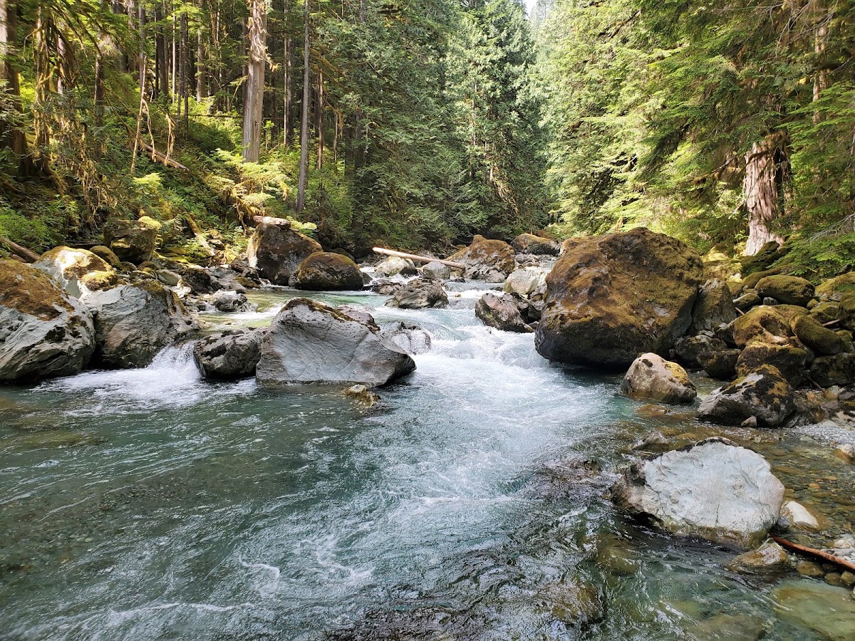 Skagit River