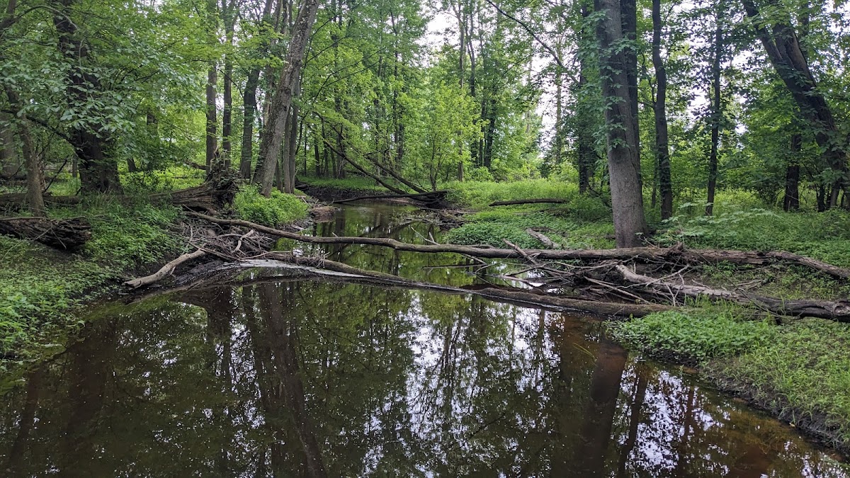 Kawkawlin River