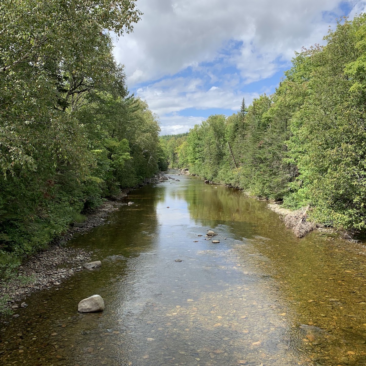 Carrabassett River
