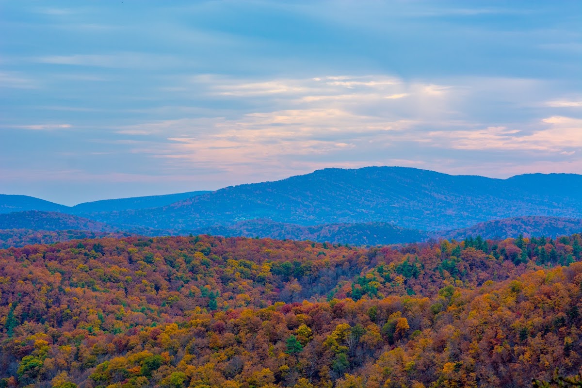 Green Ridge State Forest