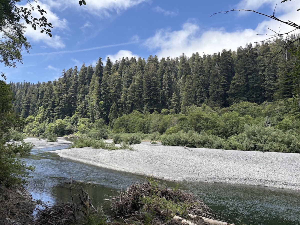 Redwood Creek Trailhead Parking