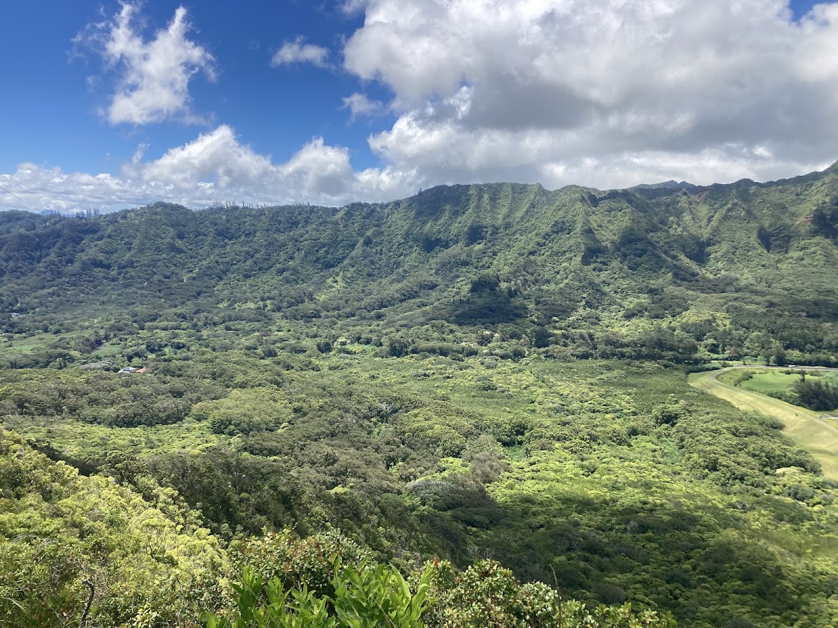 Aihualama