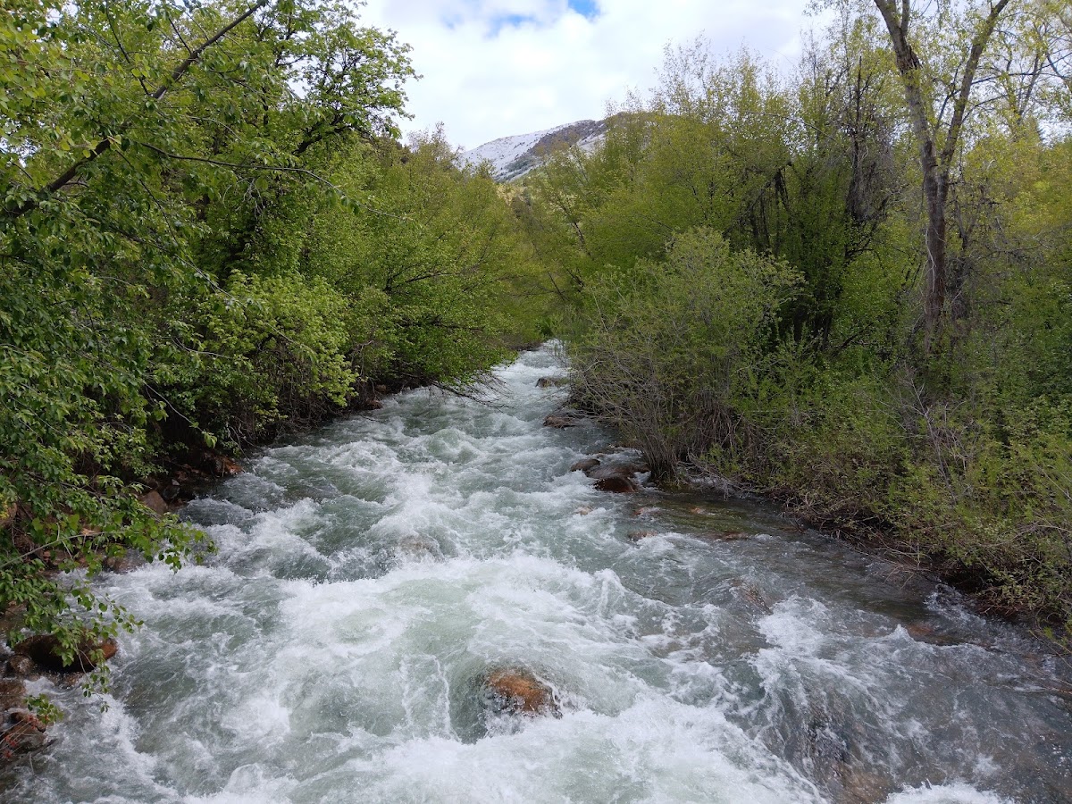 Cub River