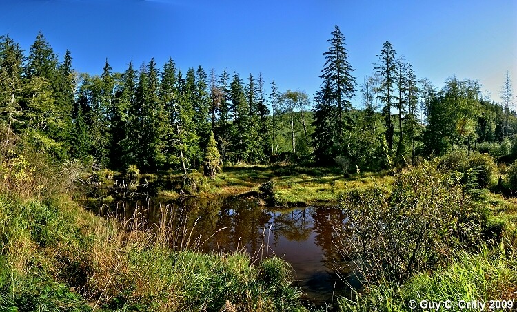 Hoko River