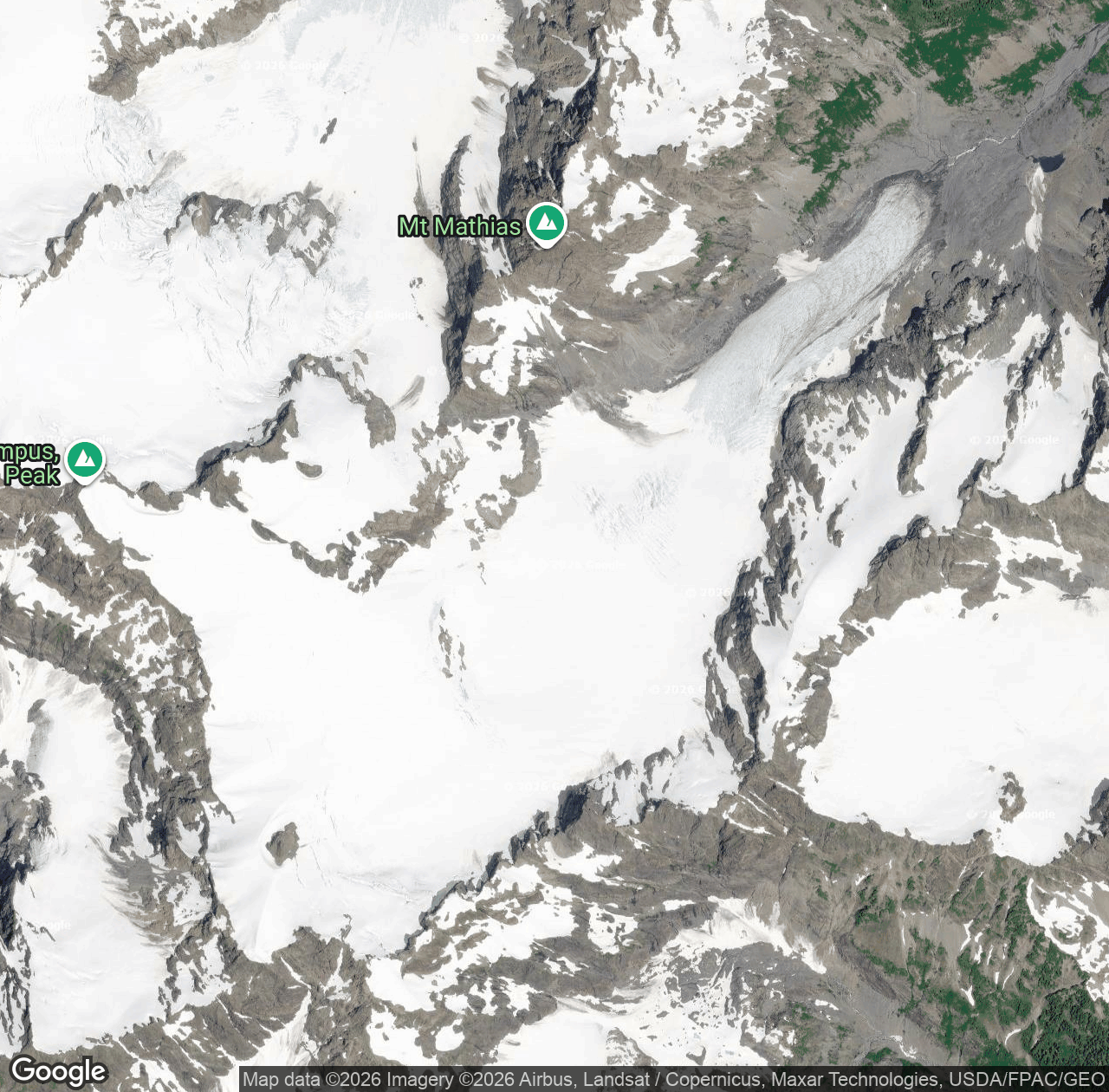 Hoh Glacier