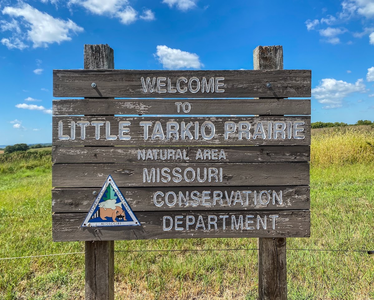 Little Tarkio Creek