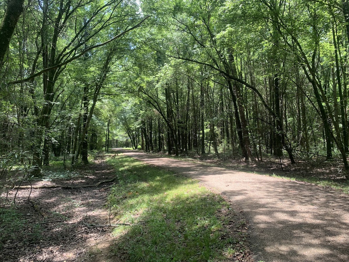 Bona Dea Trails and Sanctuary