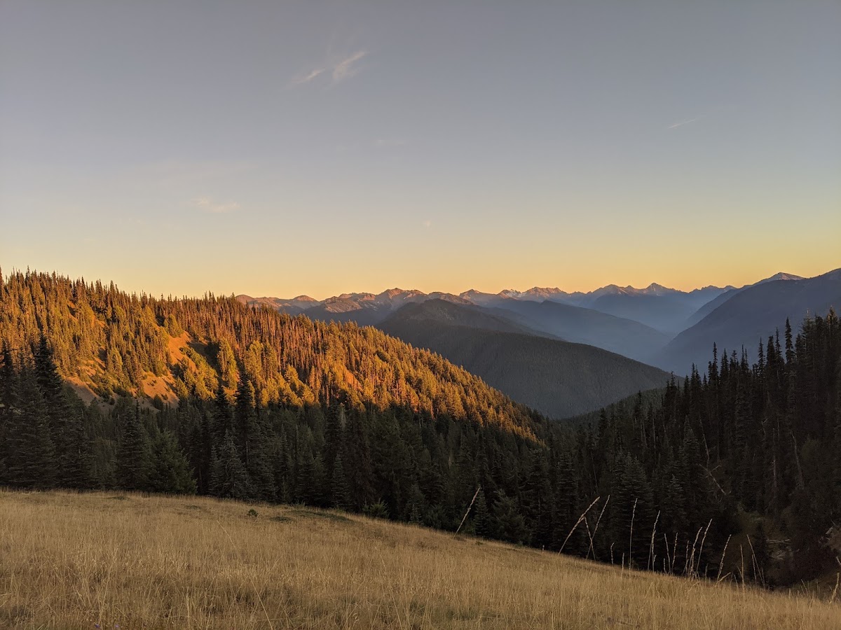 Wolf Creek