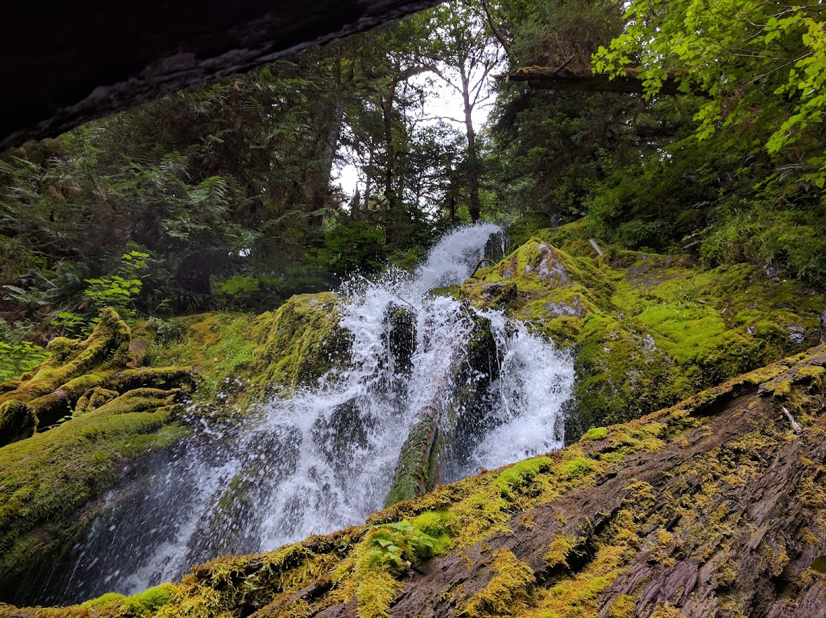 Mount Tom Creek