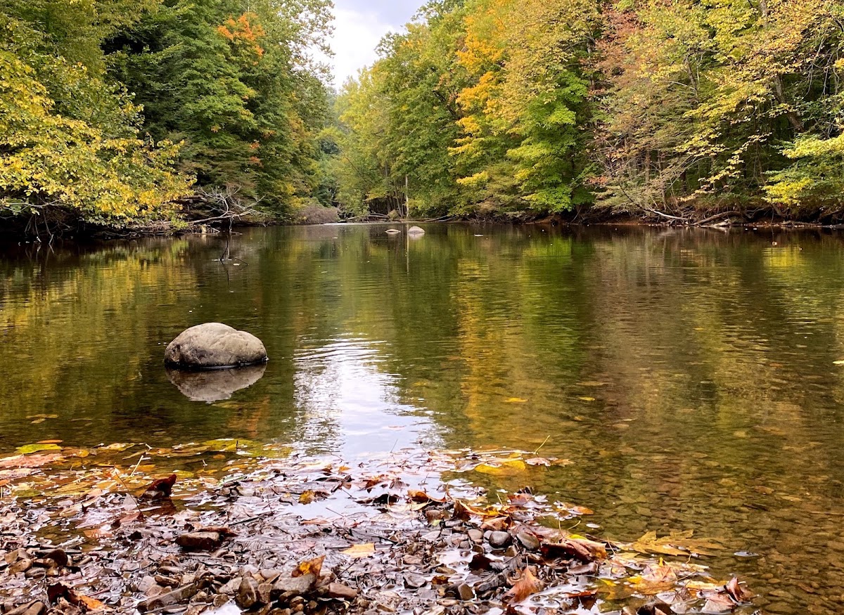 Clear Fork Mohican River
