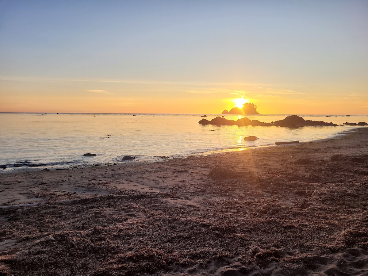 Ozette River