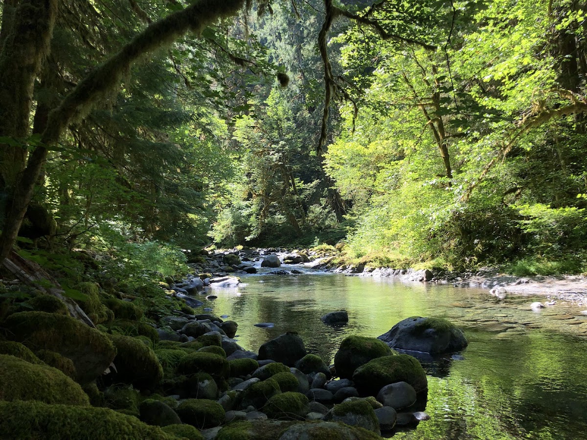 North Fork Sol Duc River