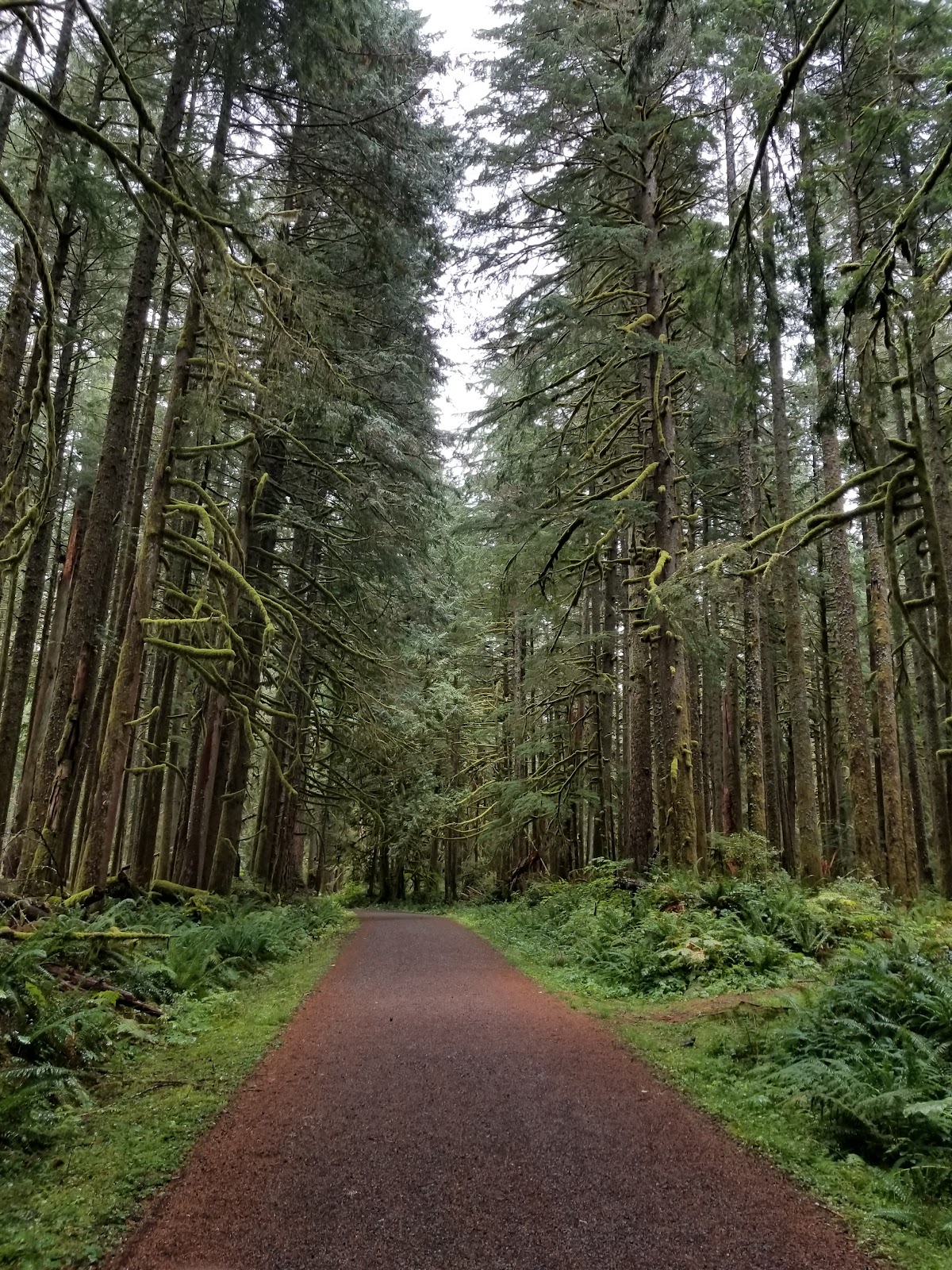 Green Lake Trail