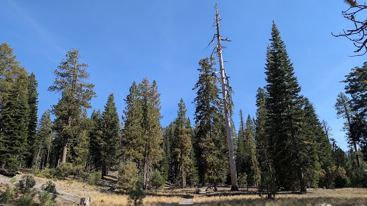 Chaos Crags Trail